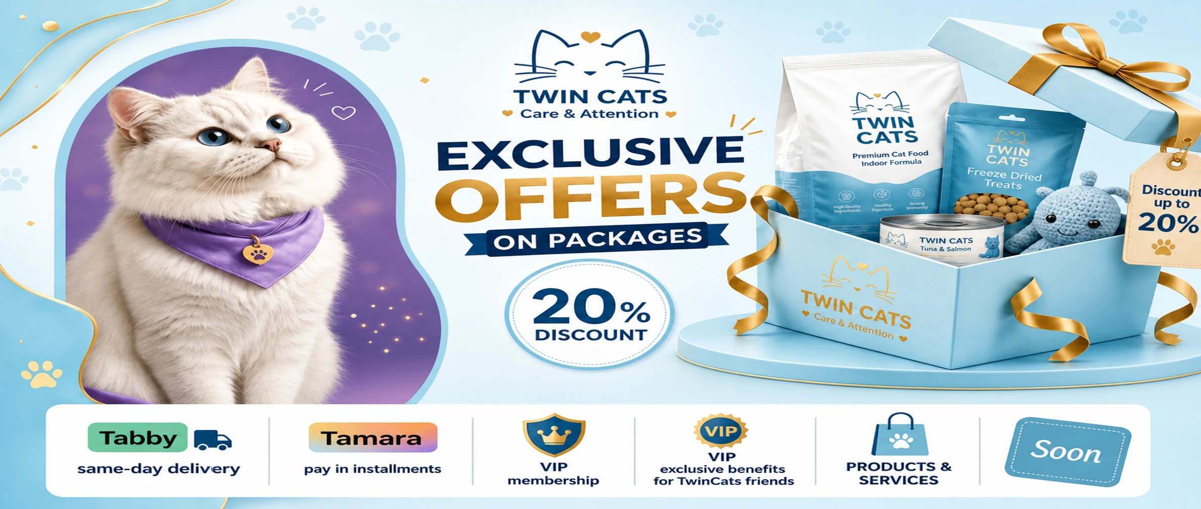 TwinCats Promo 1