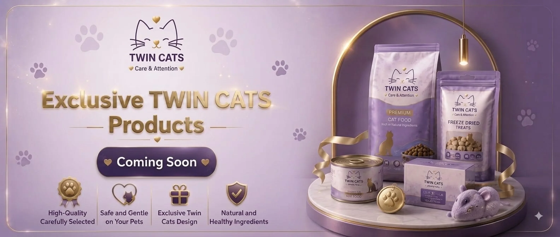 TwinCats Promo 4