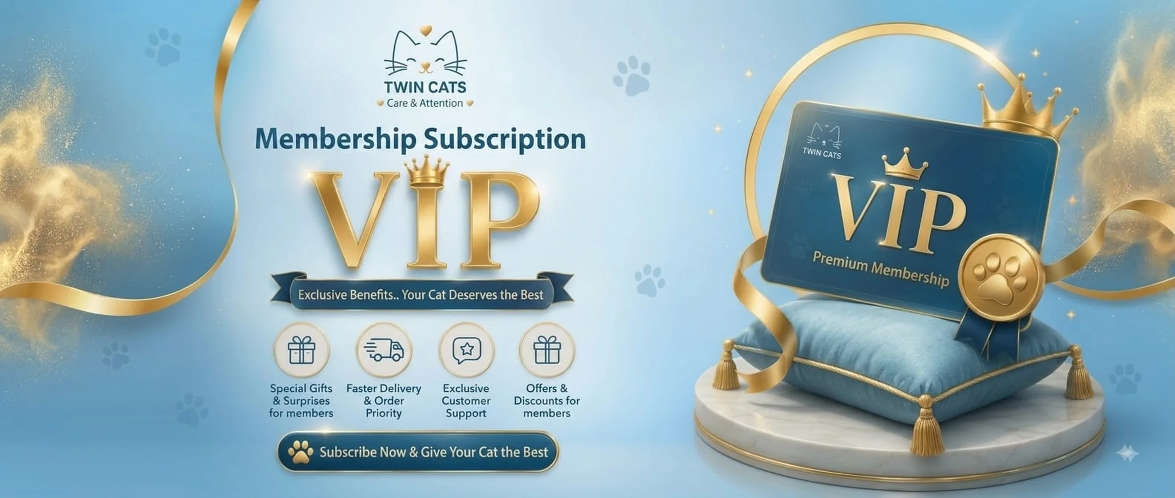 TwinCats Promo 6