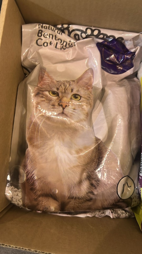 الباكج الشهري لقطتك 🐱