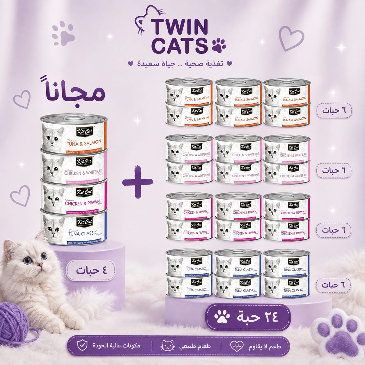 كت كات مشكل طعام رطب للقطط 24 + 4مجاناً