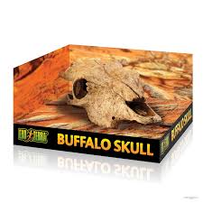 مخبأ Exo Terra Buffalo Skull للزواحف
