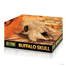 مخبأ Exo Terra Buffalo Skull للزواحف — من الأمام