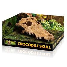 مخبأ Exo Terra Crocodile Skull للزواحف