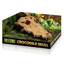 مخبأ Exo Terra Crocodile Skull للزواحف — من الأمام