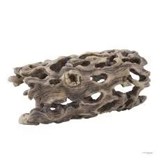 هيكل صبار Cholla Cactus من Exo Terra - صغير — من الأمام