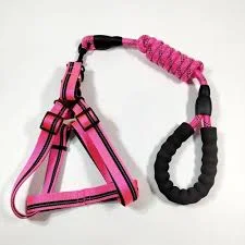 Adjustable Nylon Dog Leash - 1.2m — Front view