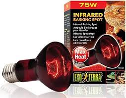 لمبة حرارة حمراء Exo Terra Heat Glo Infrared - 75 واط